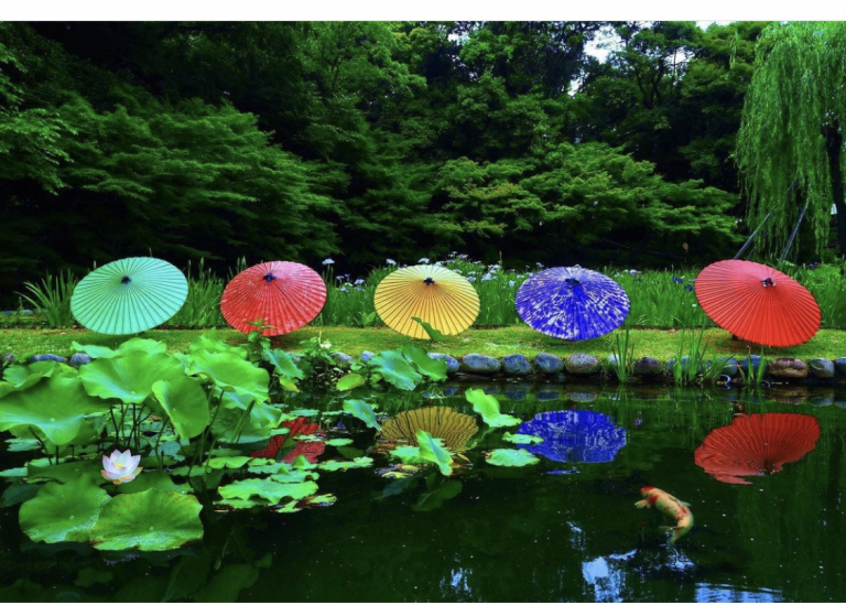 徳川園の和傘