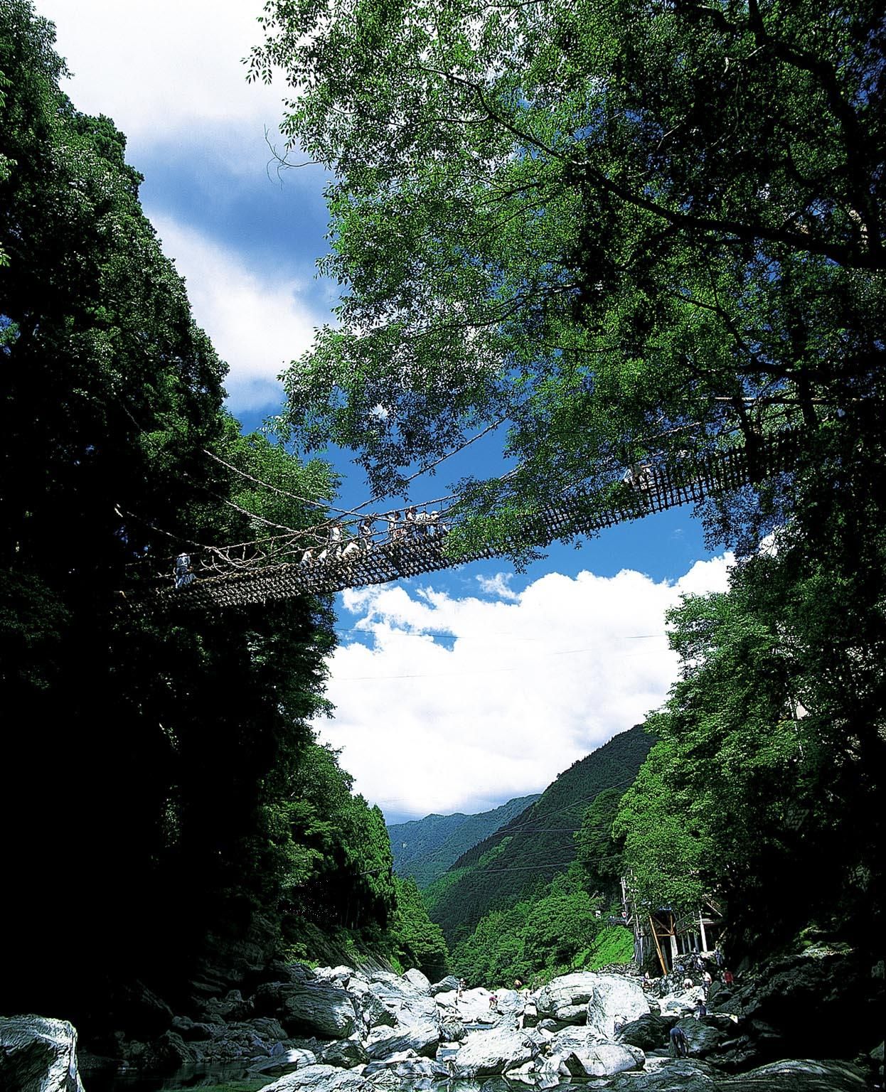 徳島県にある祖谷のかずら橋