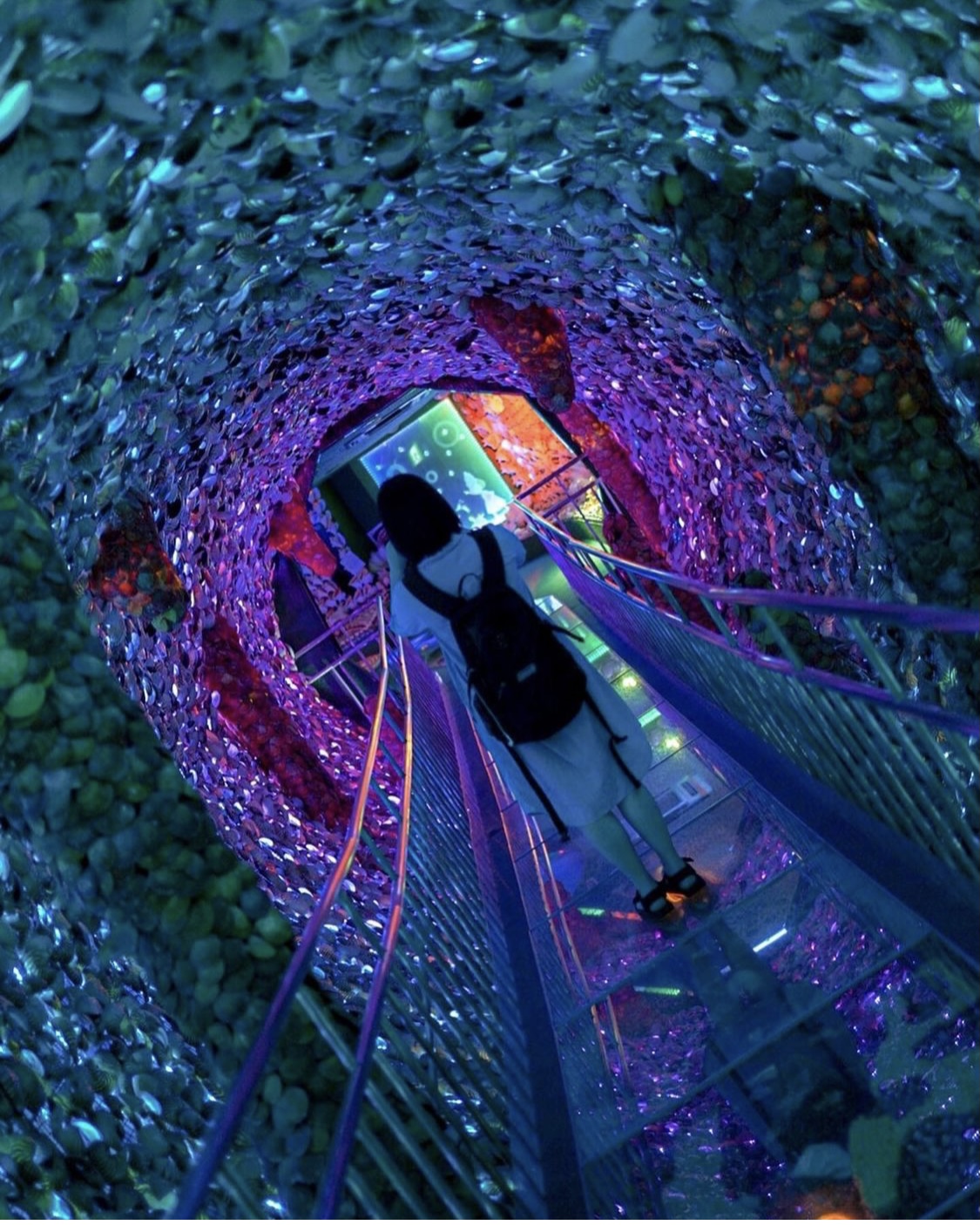 竹島ファンタジー館の時空トンネル