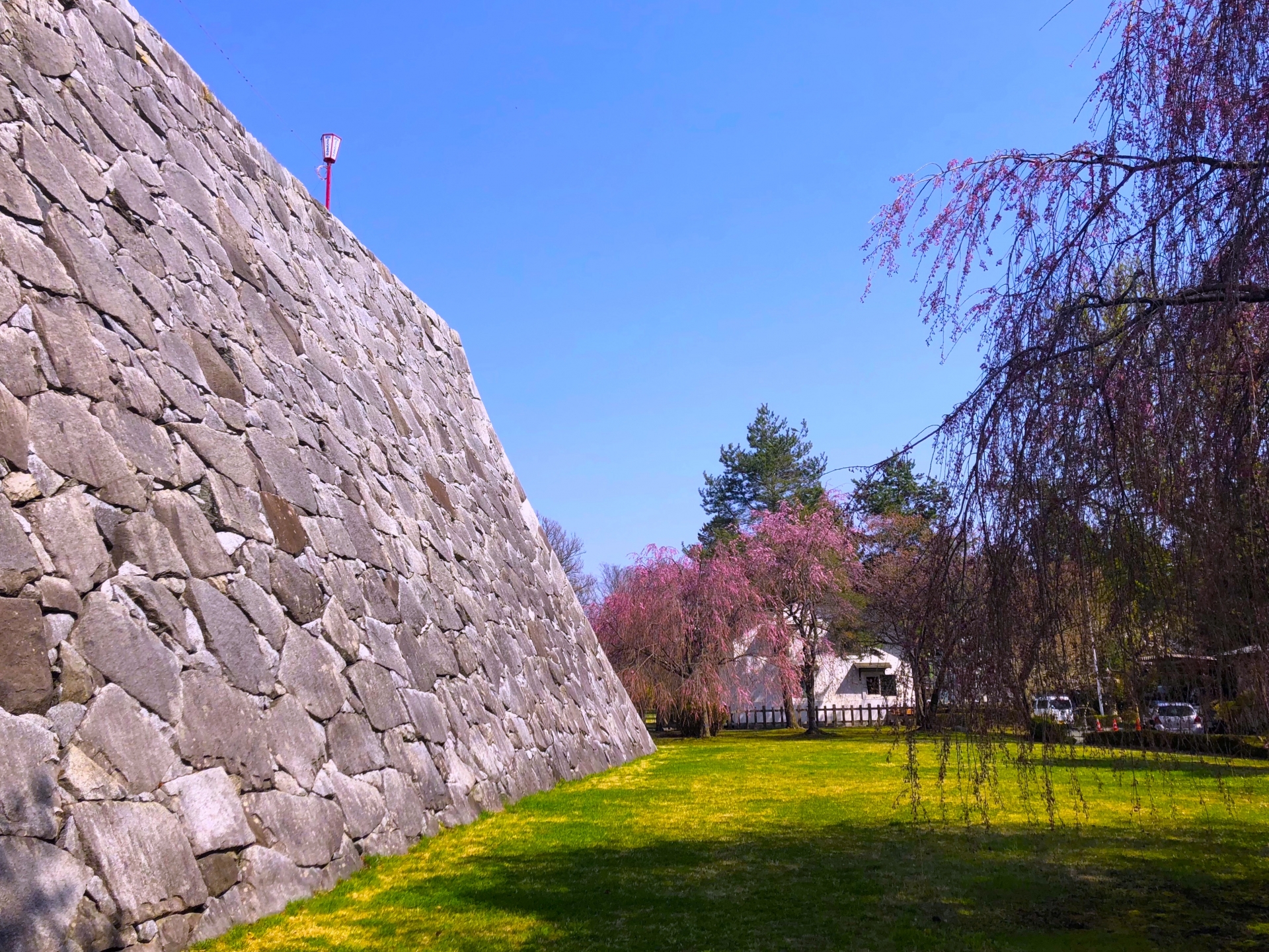 盛岡城跡の石垣と桜