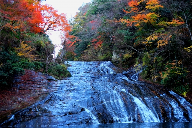 紅葉と粟又の滝