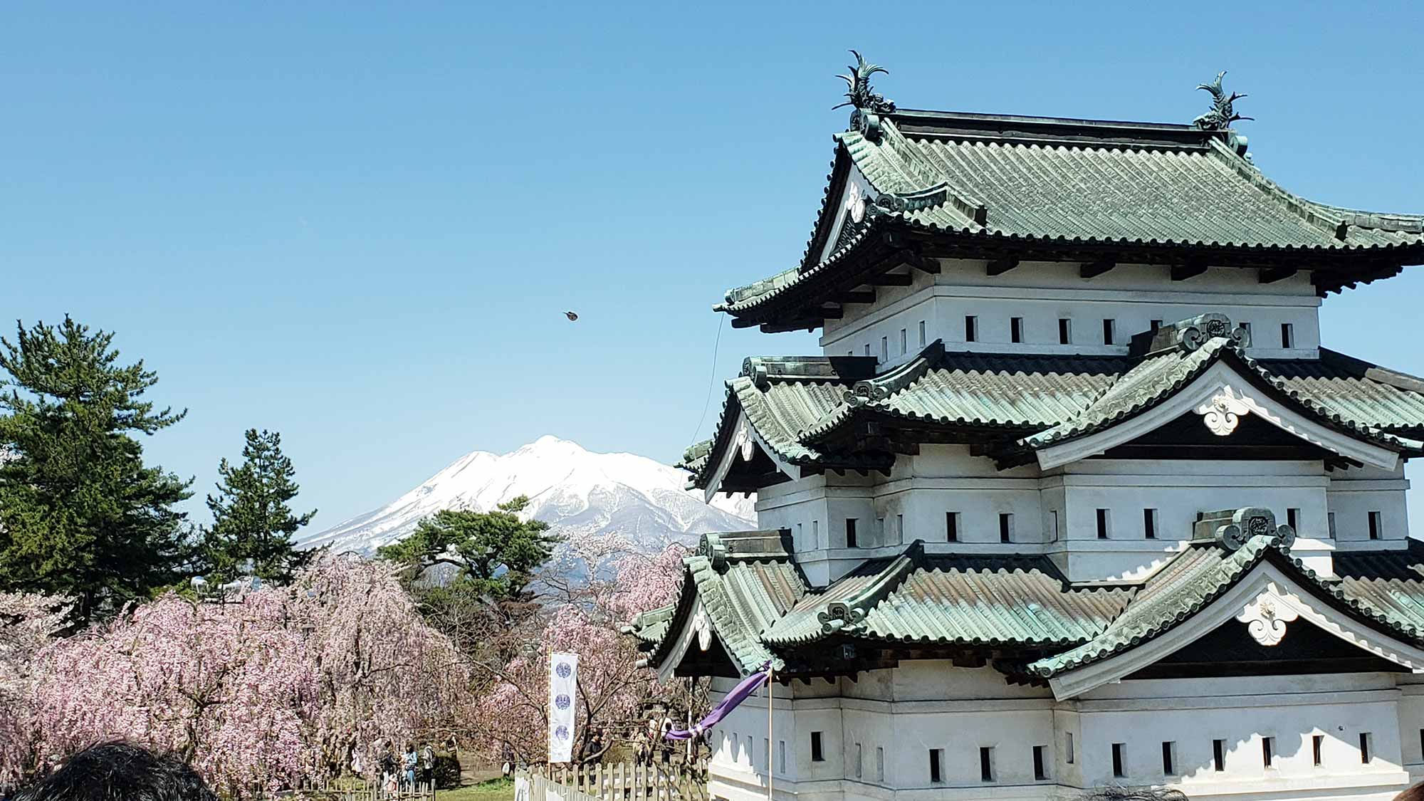 弘前城と桜と岩木山