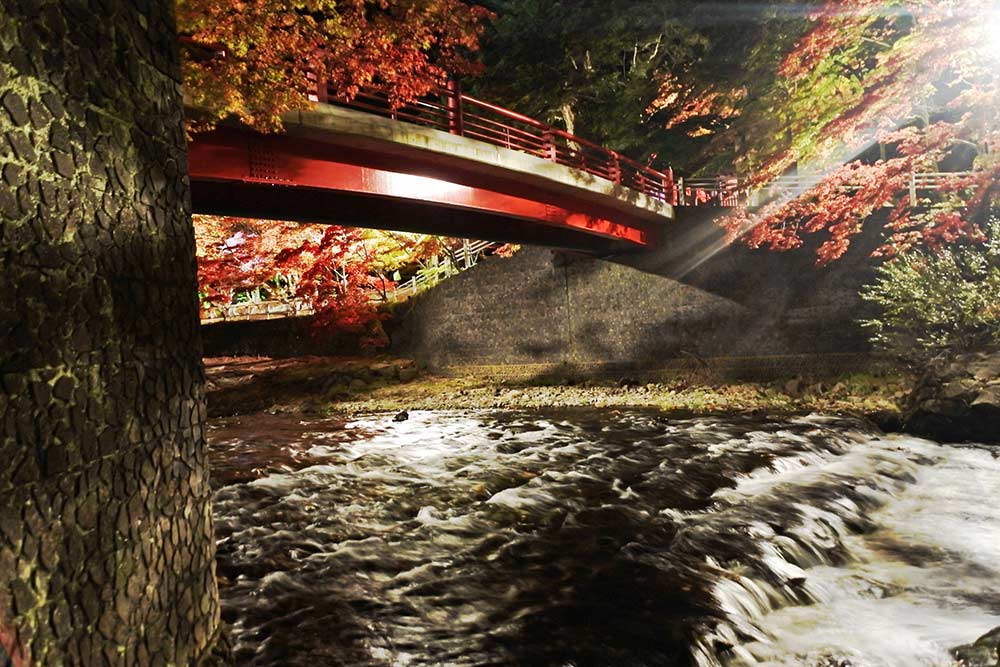秋の日差しと紅葉で映える紅の橋