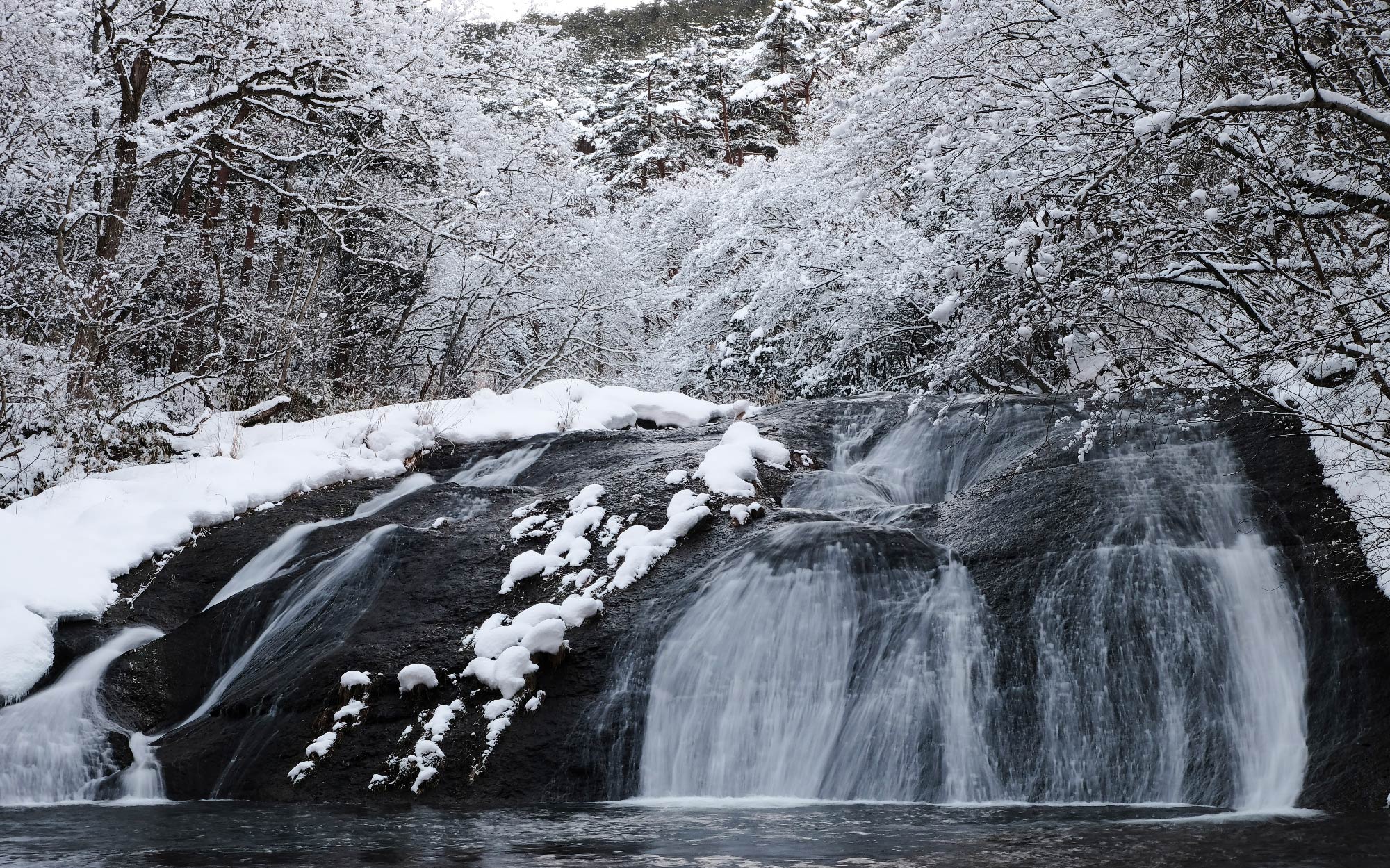 雪化粧をした釜淵の滝