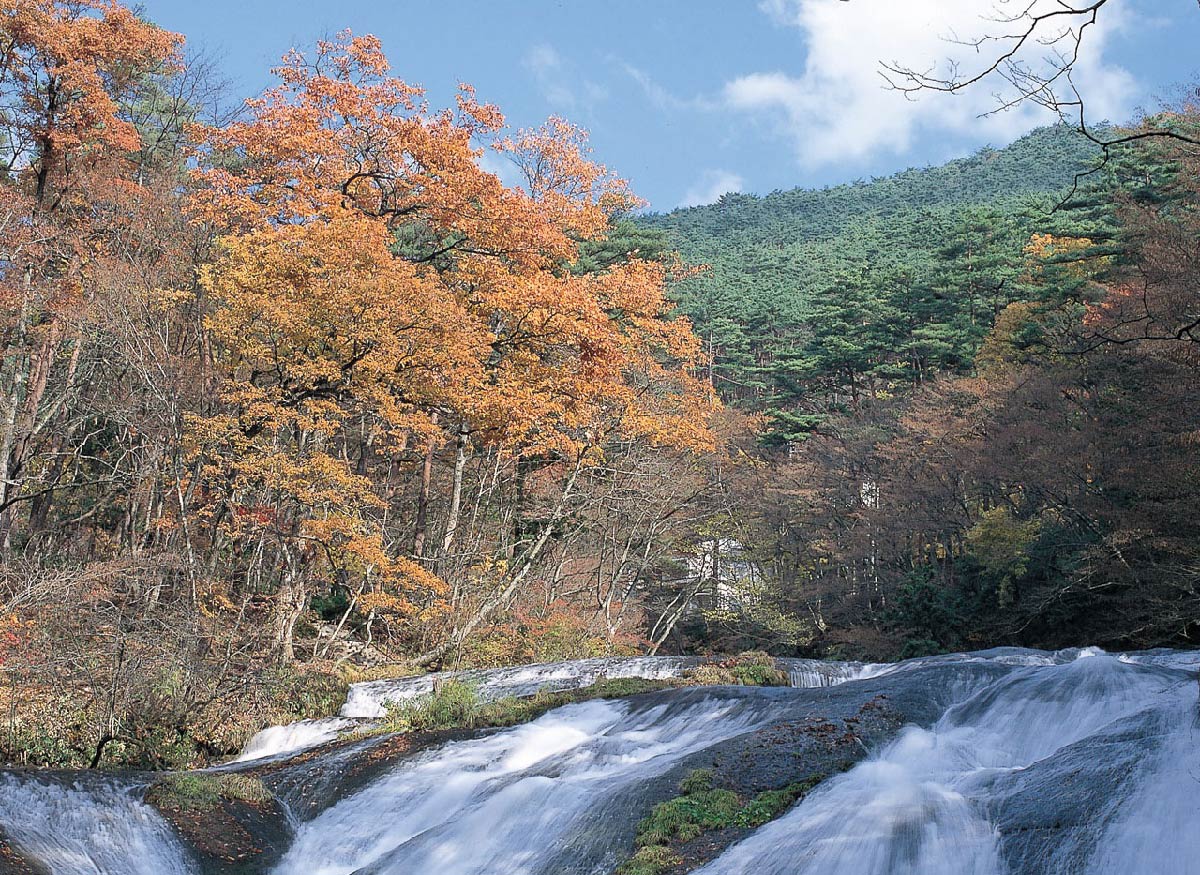 紅葉に色づく木々と釜淵の滝