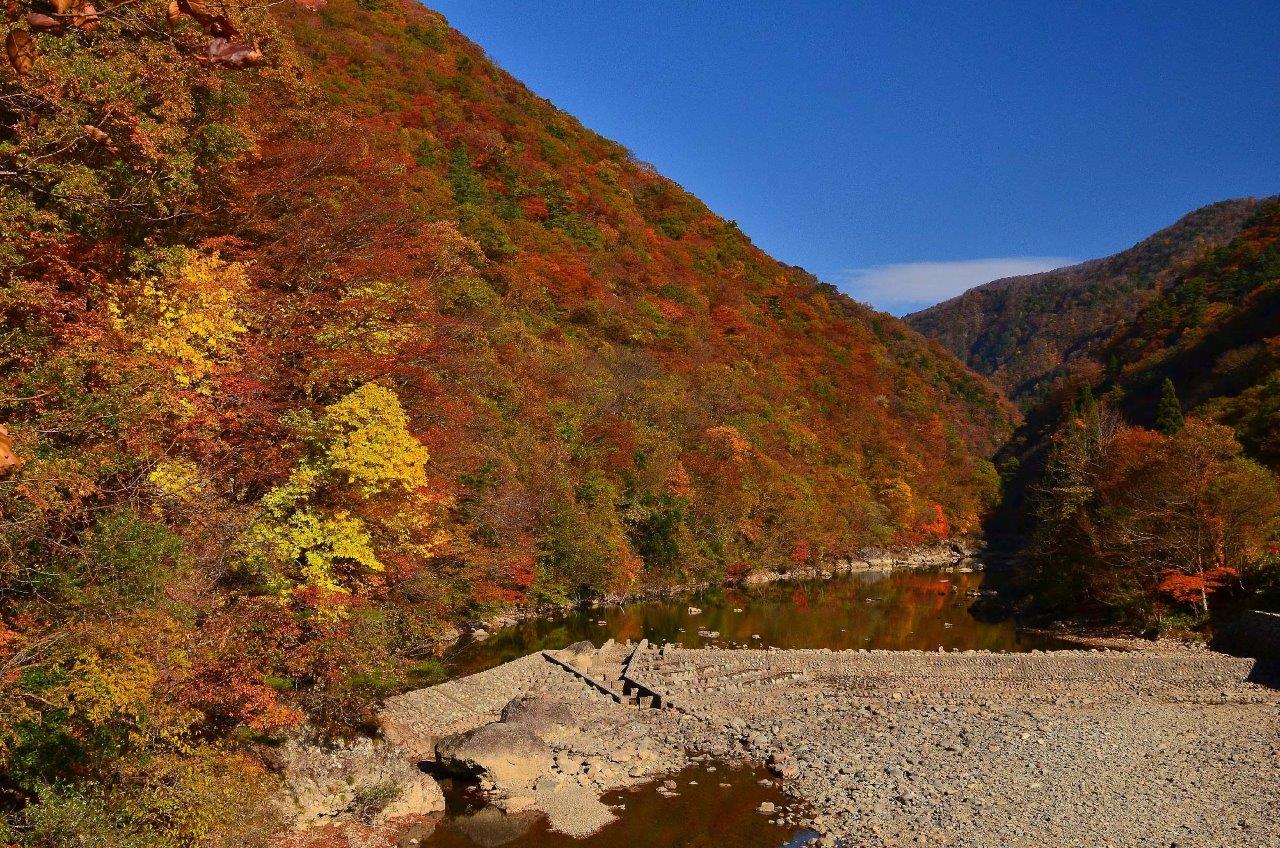 紅葉に染まる渓谷と流れる渓流