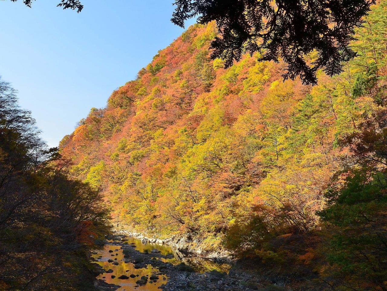 青空の下の紅葉に色付いた抱返り渓谷