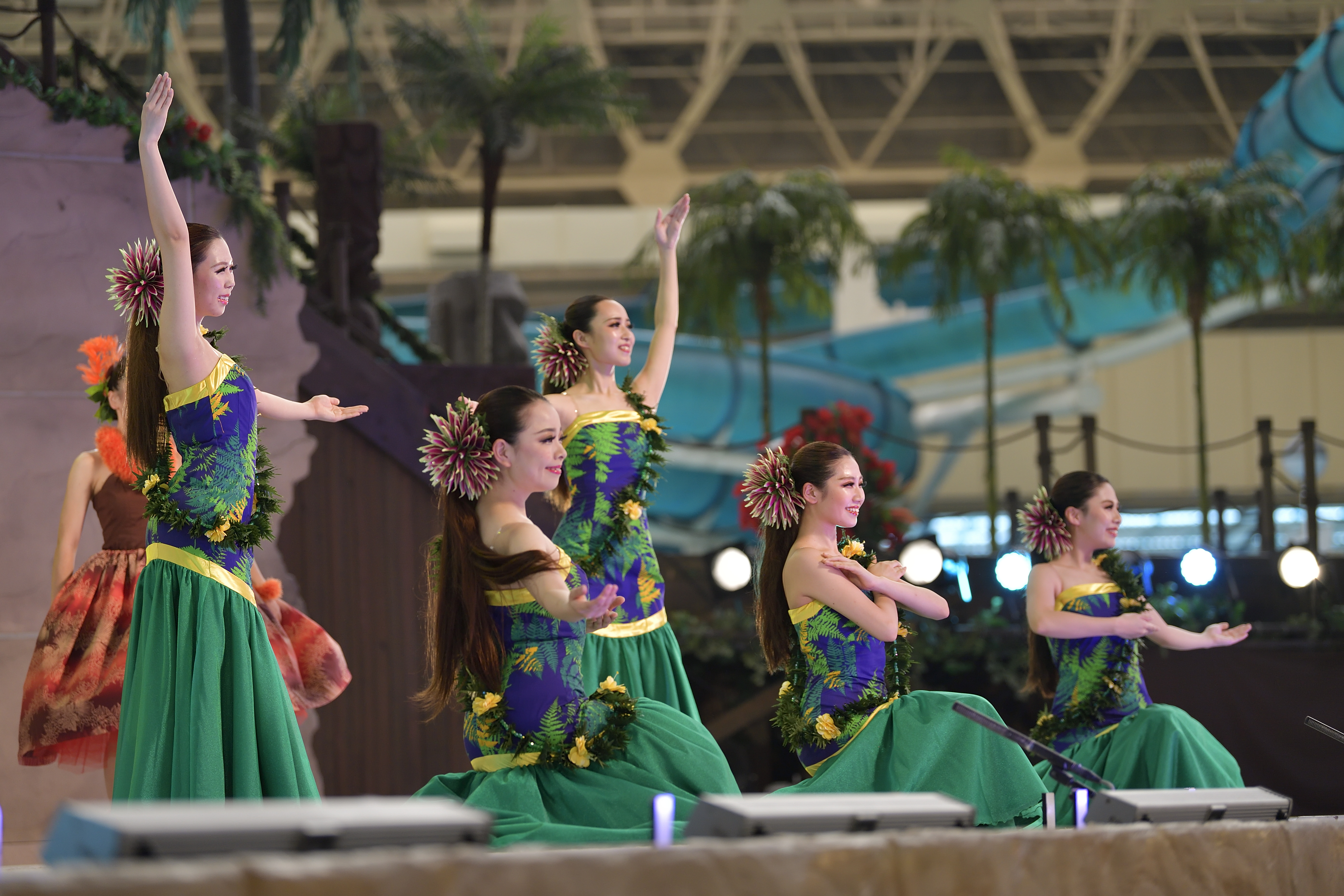 優雅なハワイの踊り