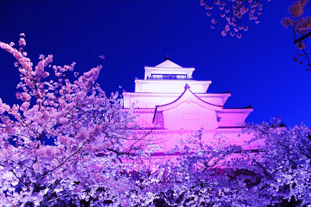 桜色にライトアップされたお城