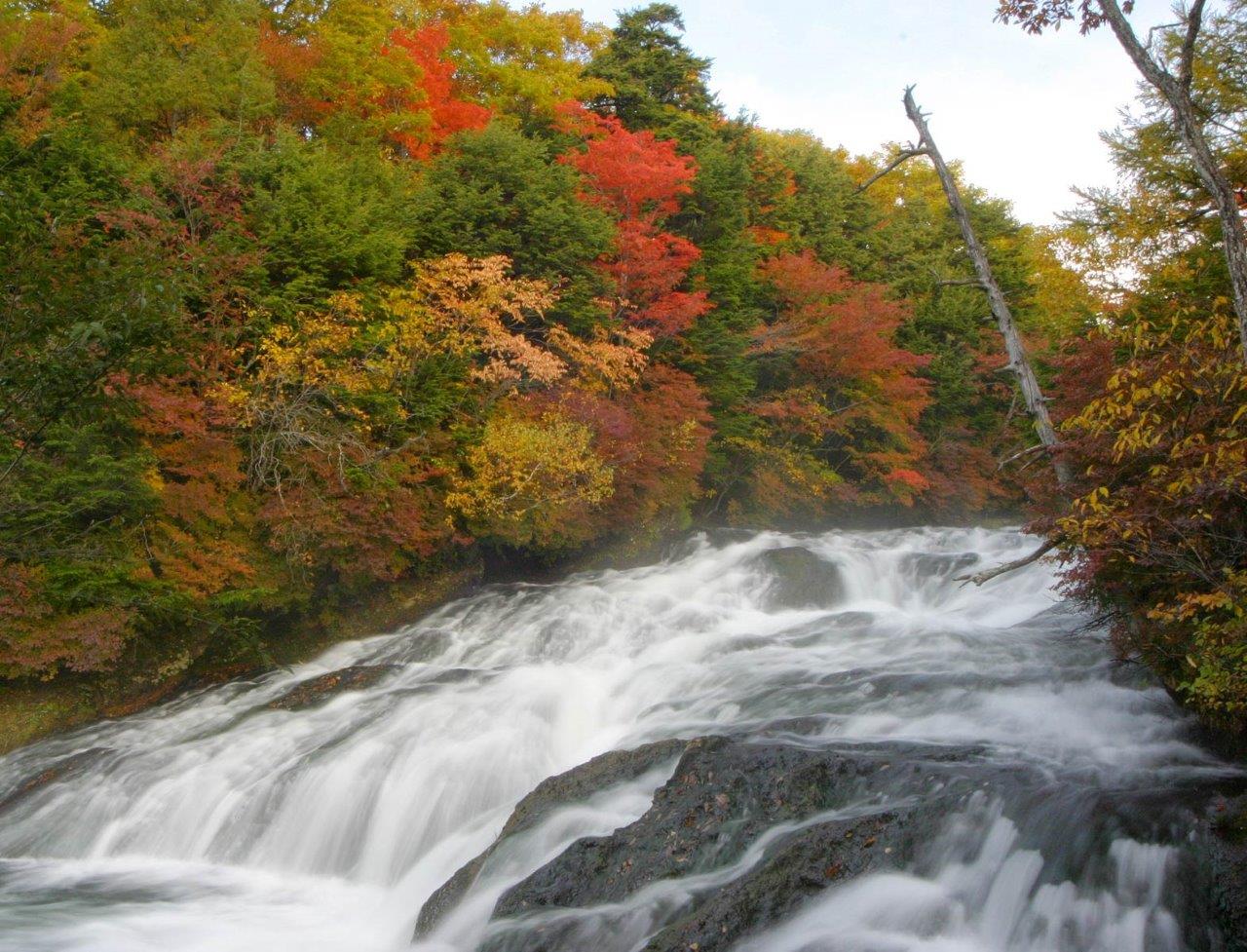 紅葉に色付いた森林と竜頭ノ滝