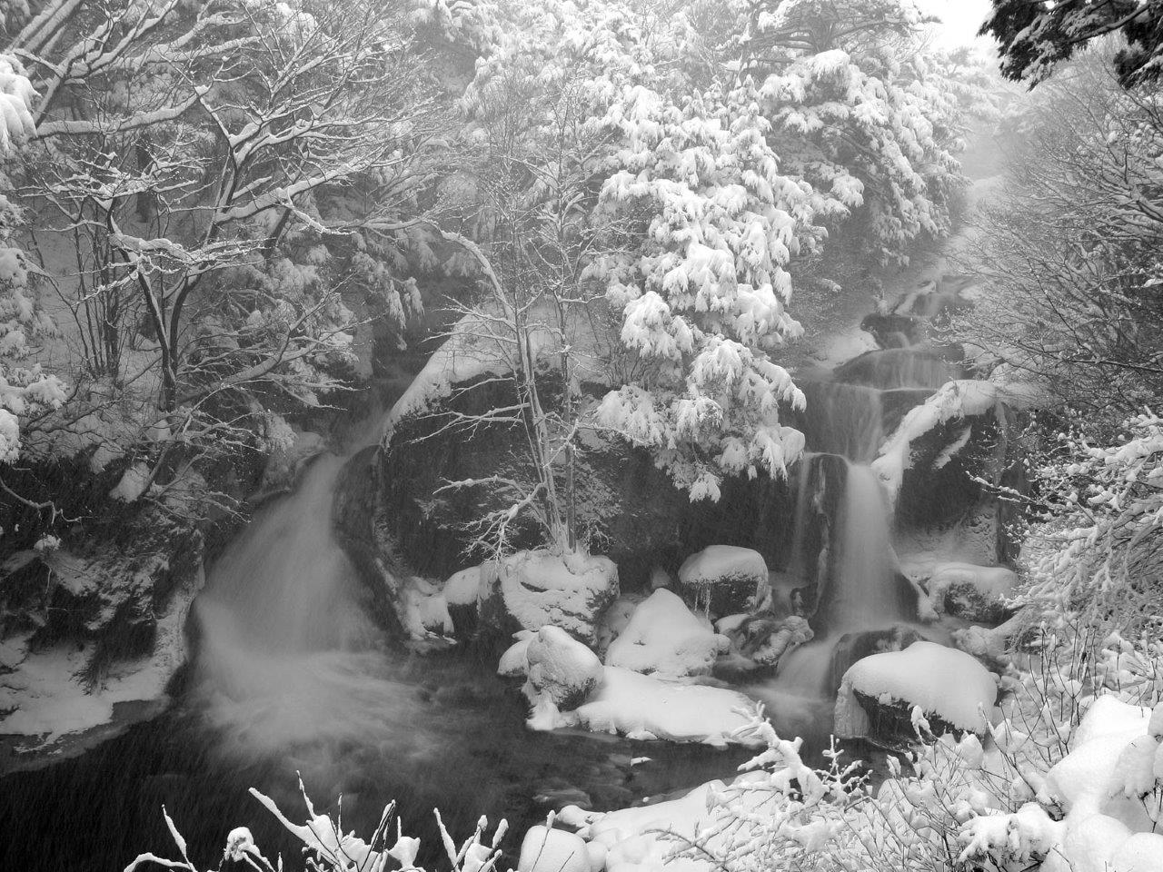 雪化粧された美しき竜頭ノ滝