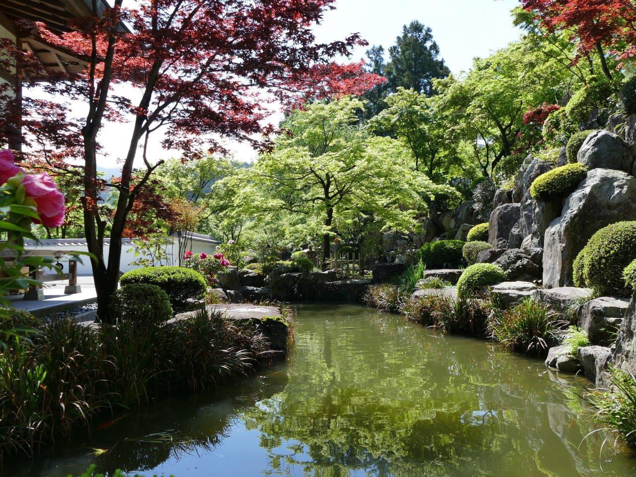 宝徳寺の庭園にある池