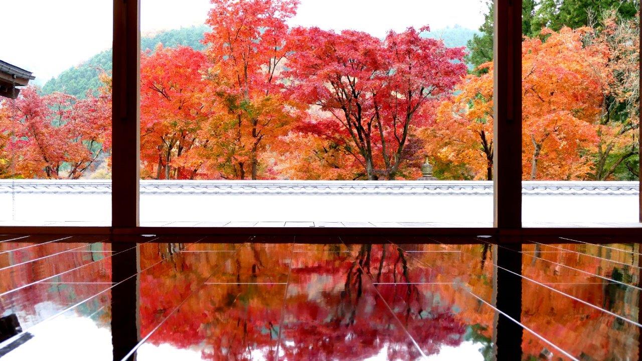 宝徳寺の床紅葉