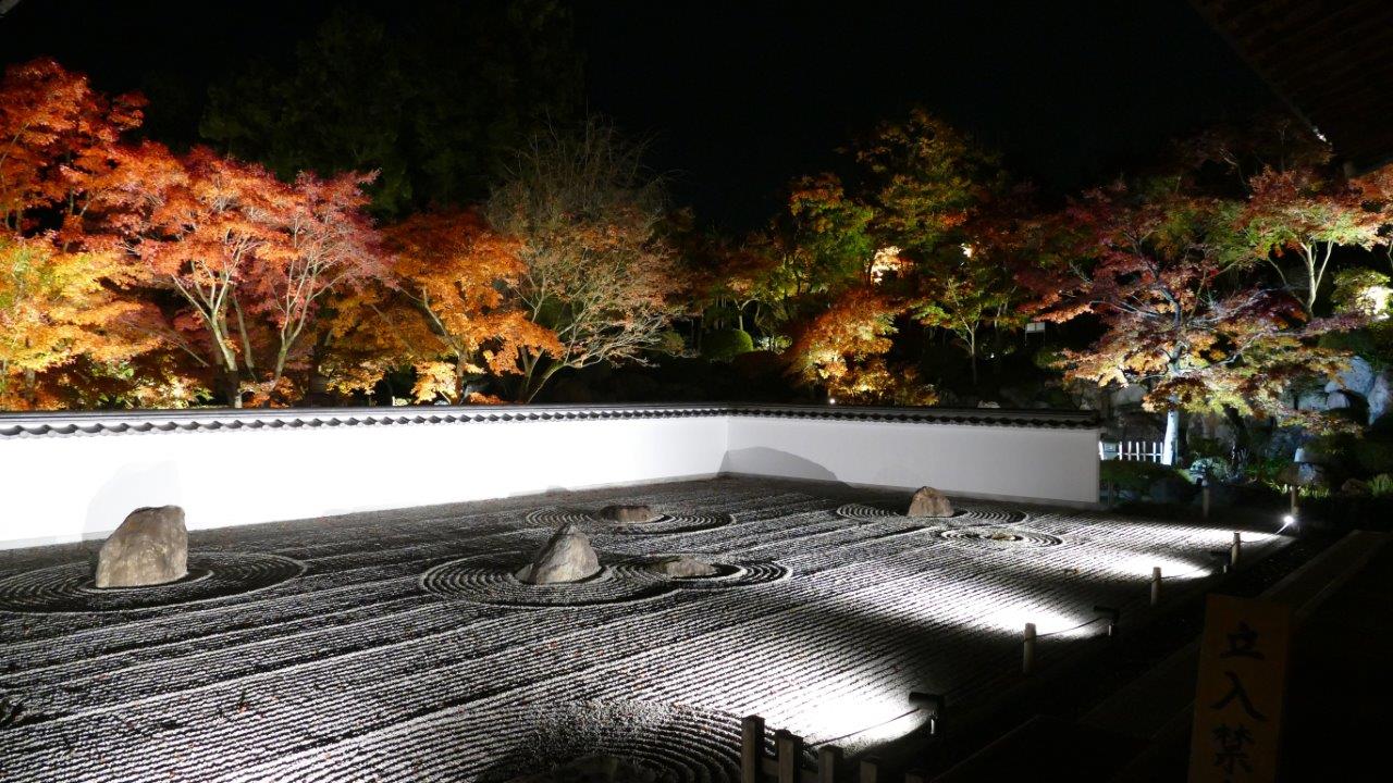 ライトアップされた宝徳寺の庭園