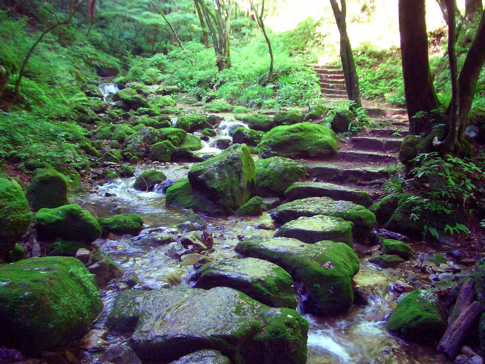 武蔵御嶽神社とハイキングコース