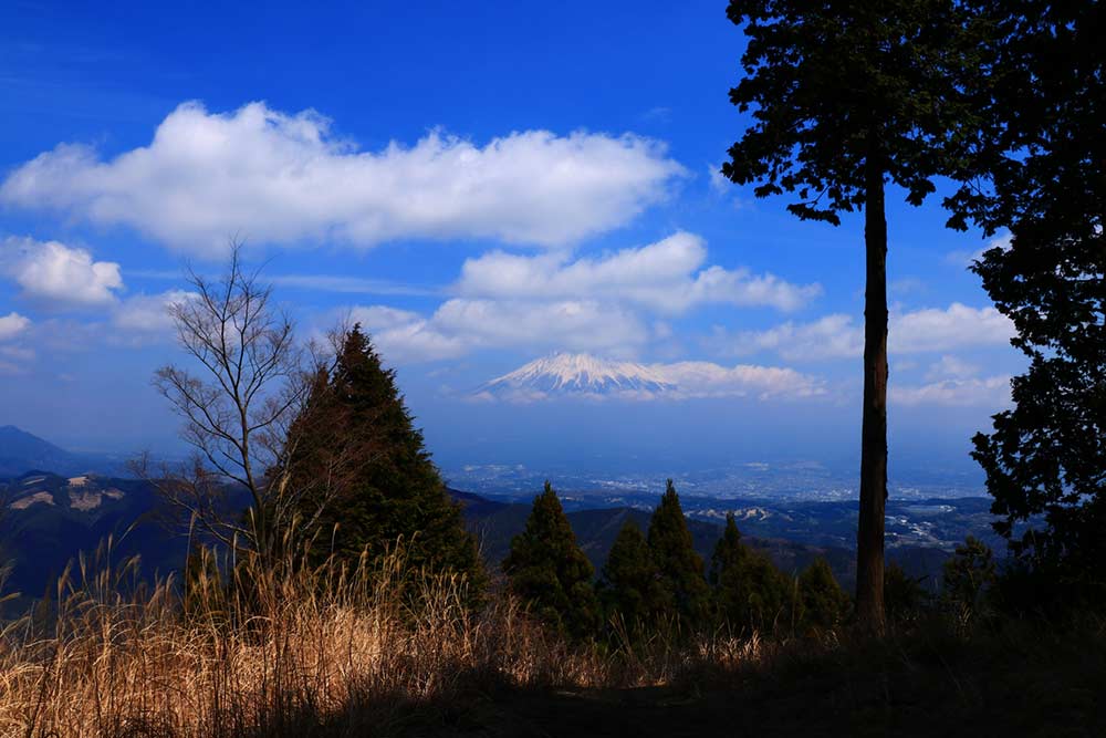 頂上付近から富士山を望む