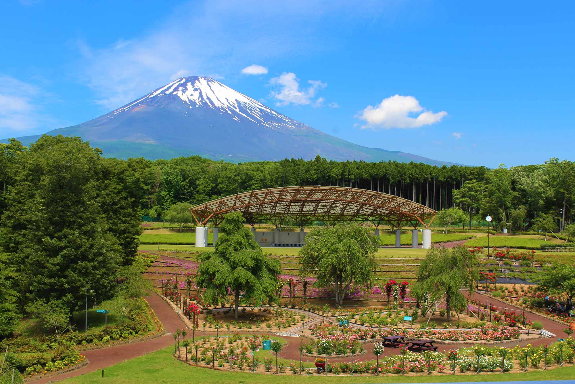 美しい富士山を眺めることができます