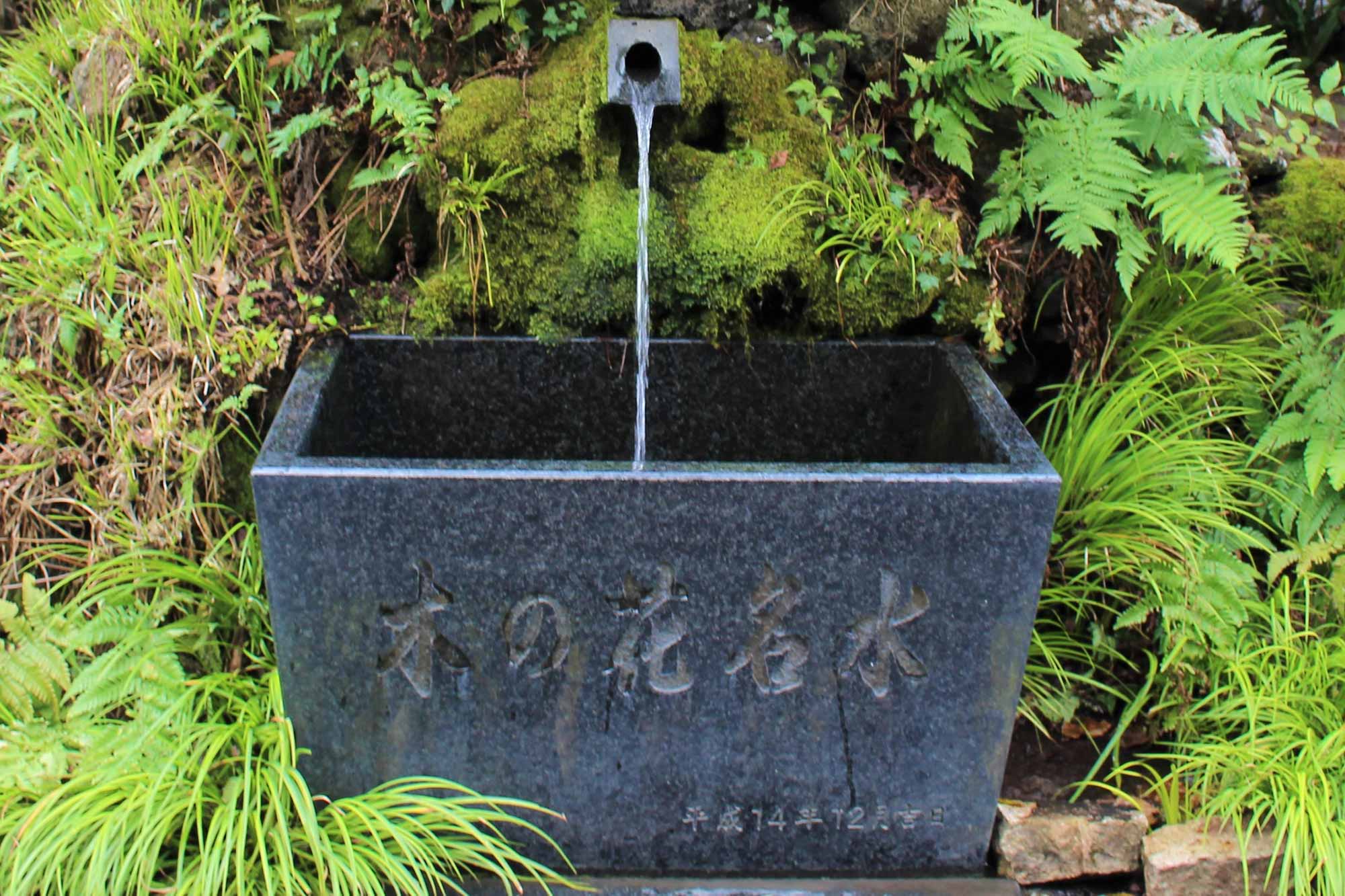 富士山の湧き水「木の花水」を頂くこともできます