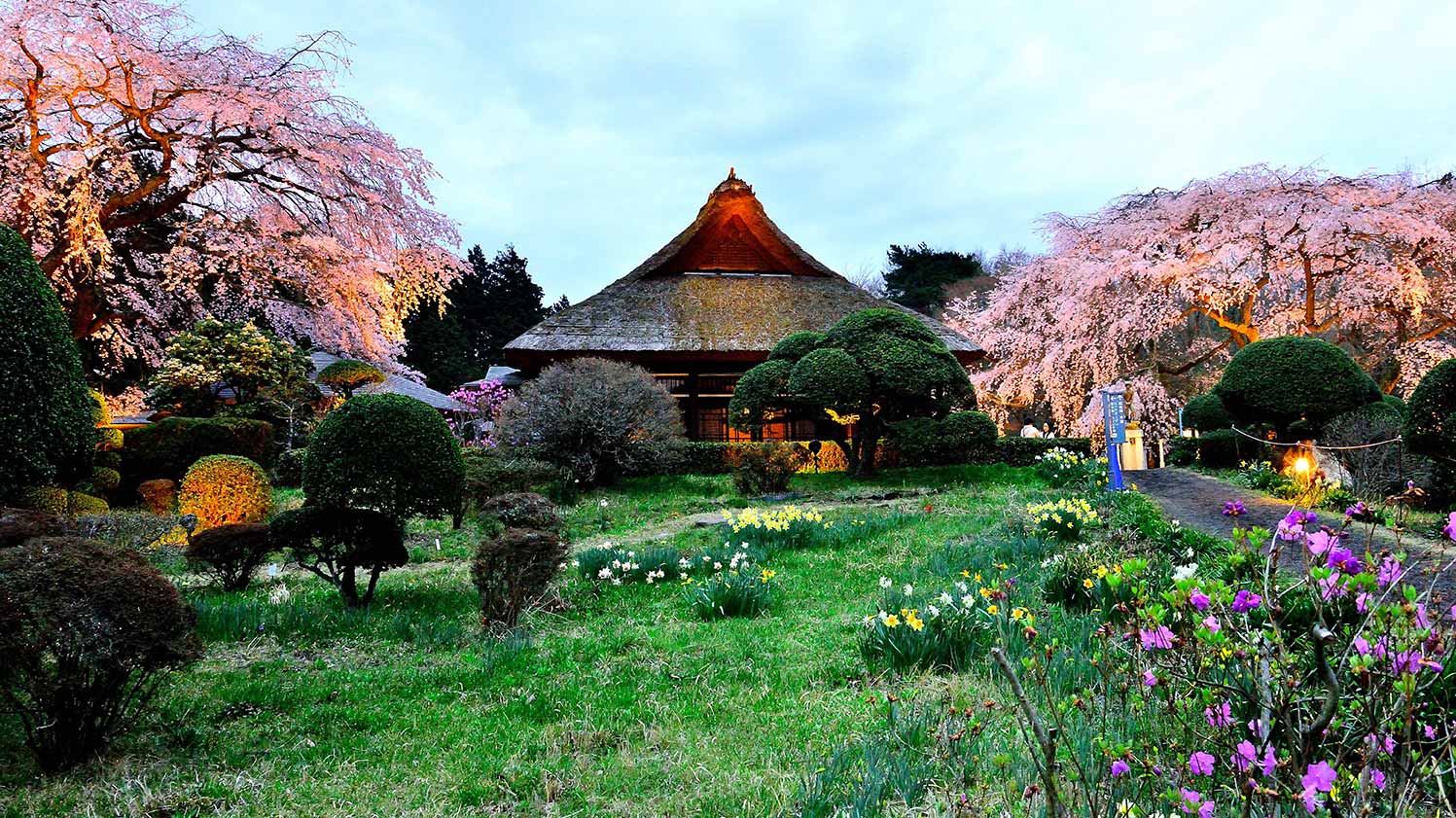 春・桜 美の饗宴