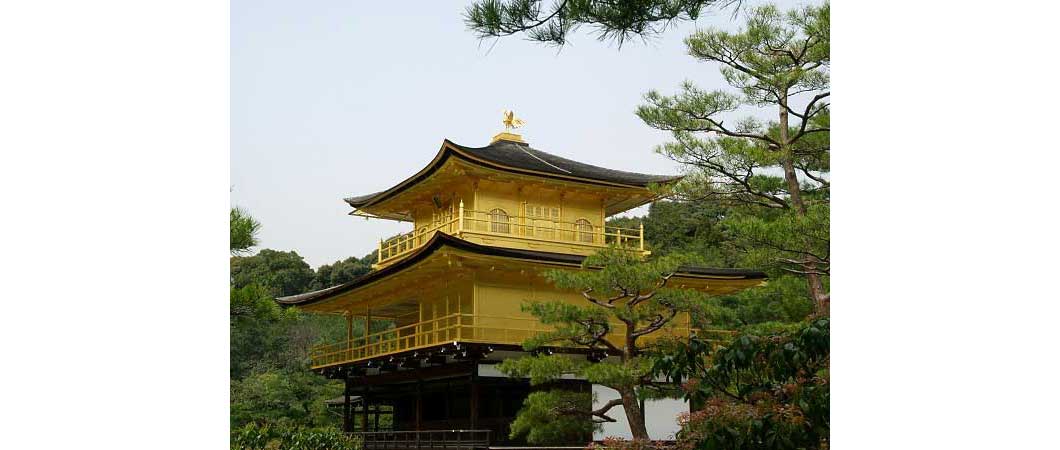 新緑の季節の金閣寺