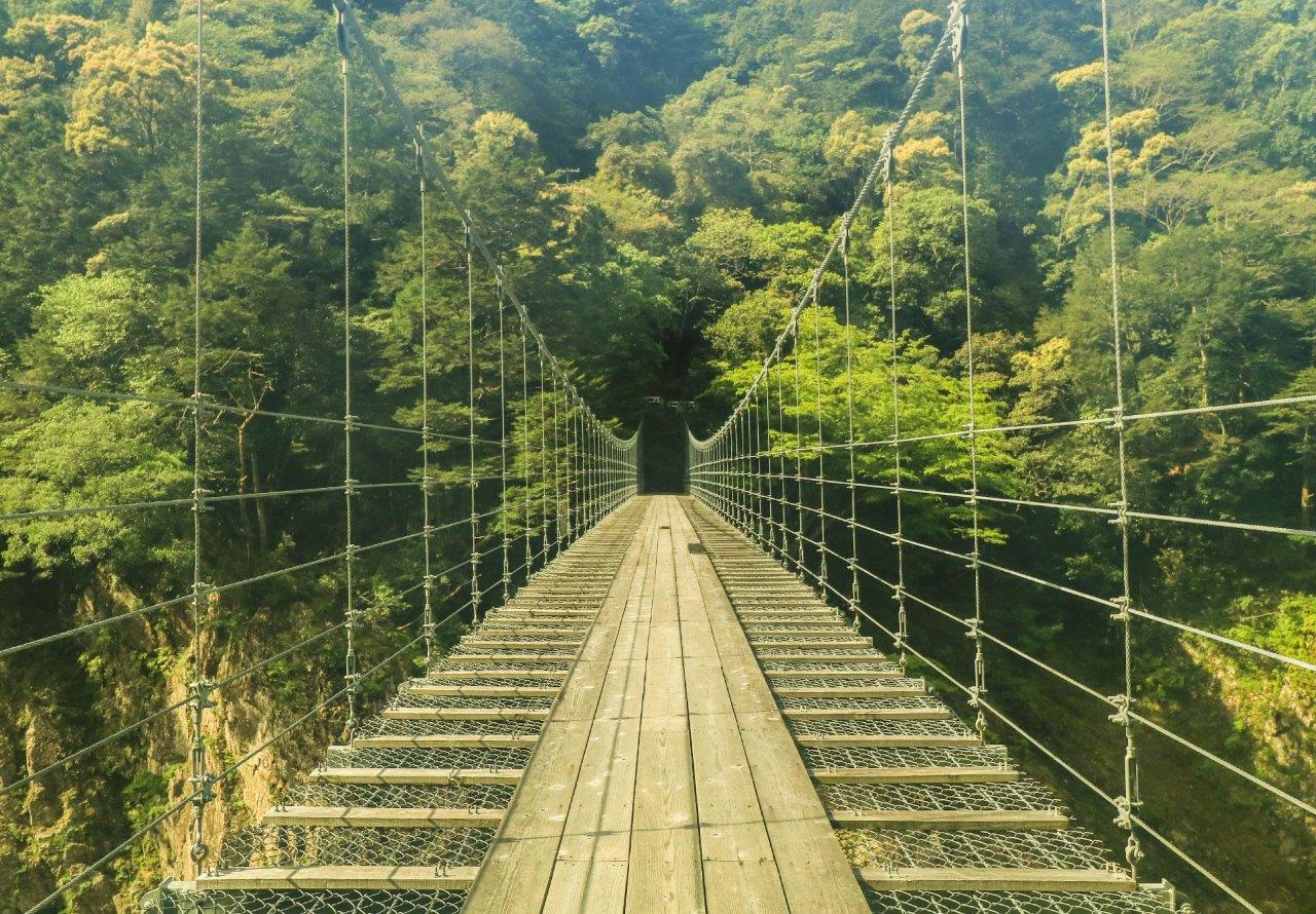 山彦橋から覗く景色