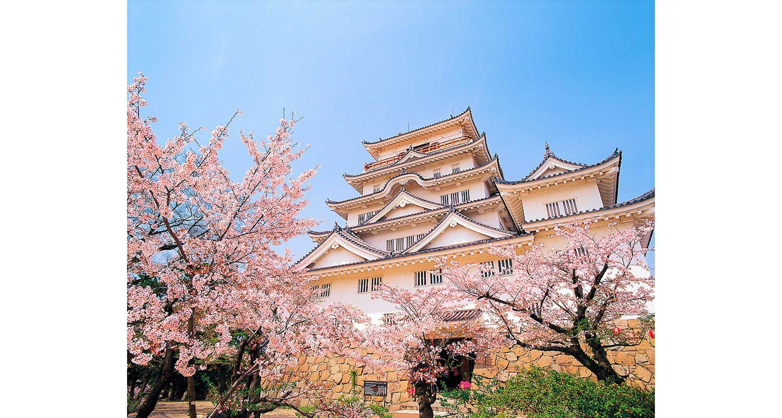 咲き誇る桜と「福山城」