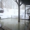 雪を眺めながら入ることが出来る温泉