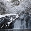 雪化粧をした釜淵の滝