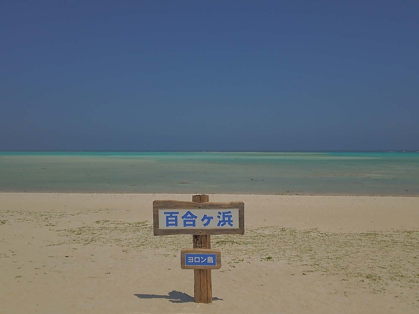 百合ヶ浜