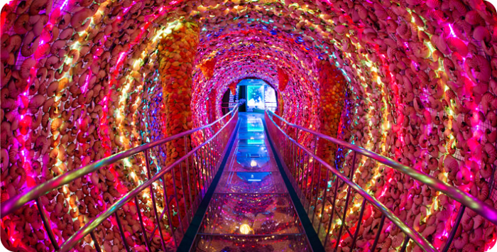 竹島ファンタジー館の時空トンネル