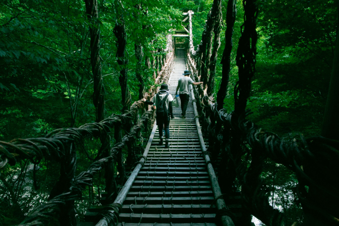 徳島県 祖谷の吊り橋（徳島県祖谷渓）